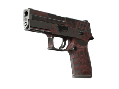 P250 - Загрязнитель - 144x108