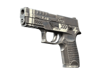 P250 - Ре.конструкция - 160x114