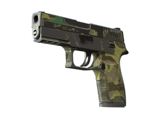 P250 - Северный лес - 160x114