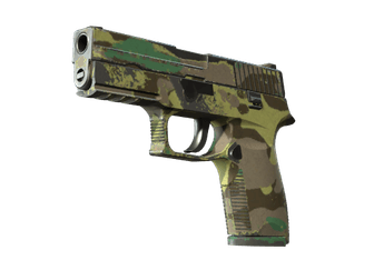 P250 - Северный лес - 160x114