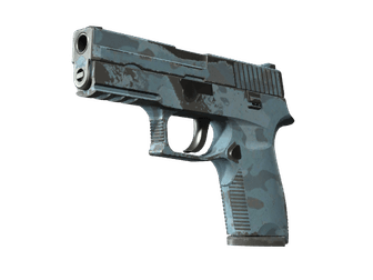 P250 - Лесная ночь - 160x114