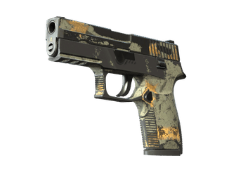 P250 - Современный охотник - 160x114