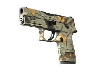 P250 - Современный охотник - 160x114