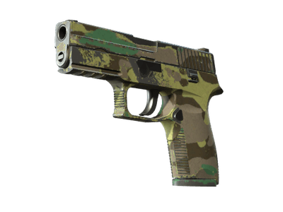 P250 - Северный лес - 144x108