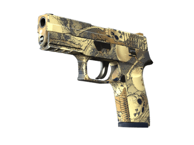P250 - Заражение - 144x108